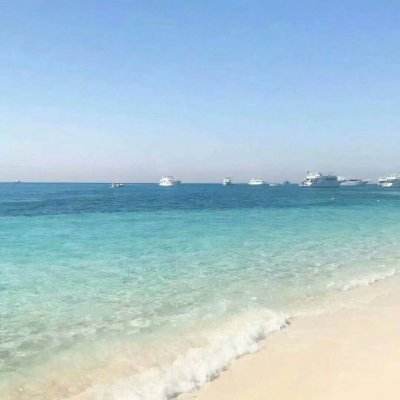 九龙澳门下载截图